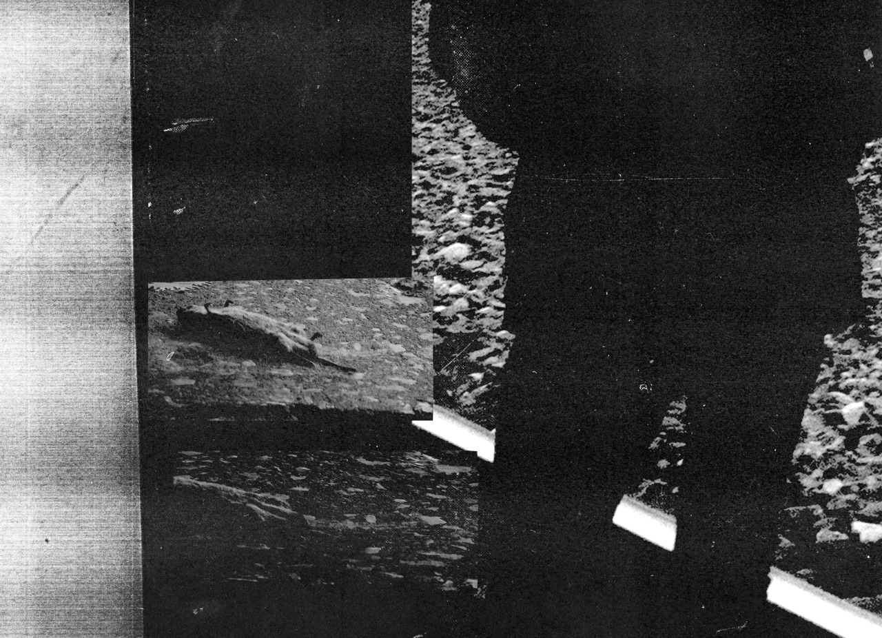 Archillect ID 105767