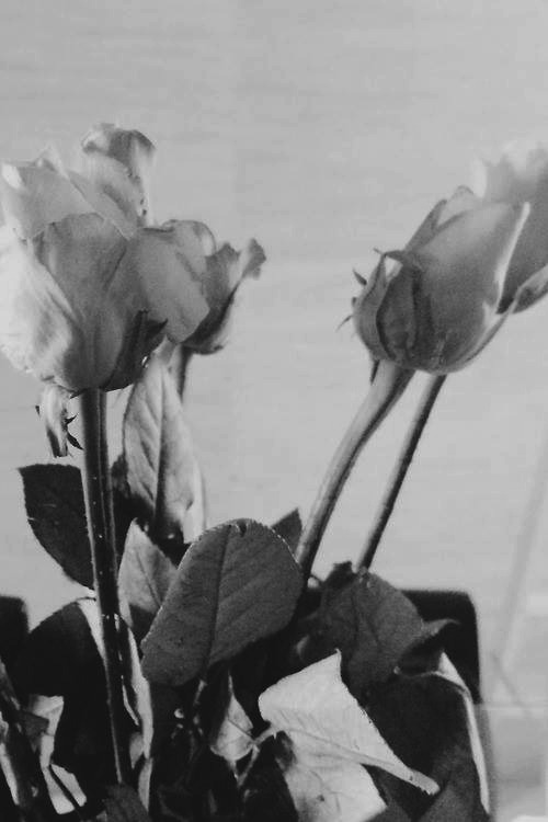 Archillect ID 105988