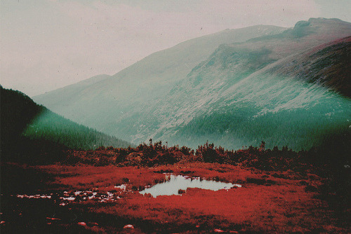 Archillect ID 106619