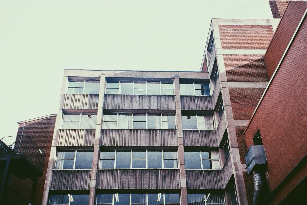 Archillect ID 106675