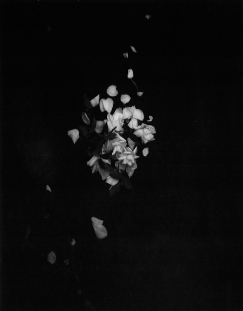 Archillect ID 106988