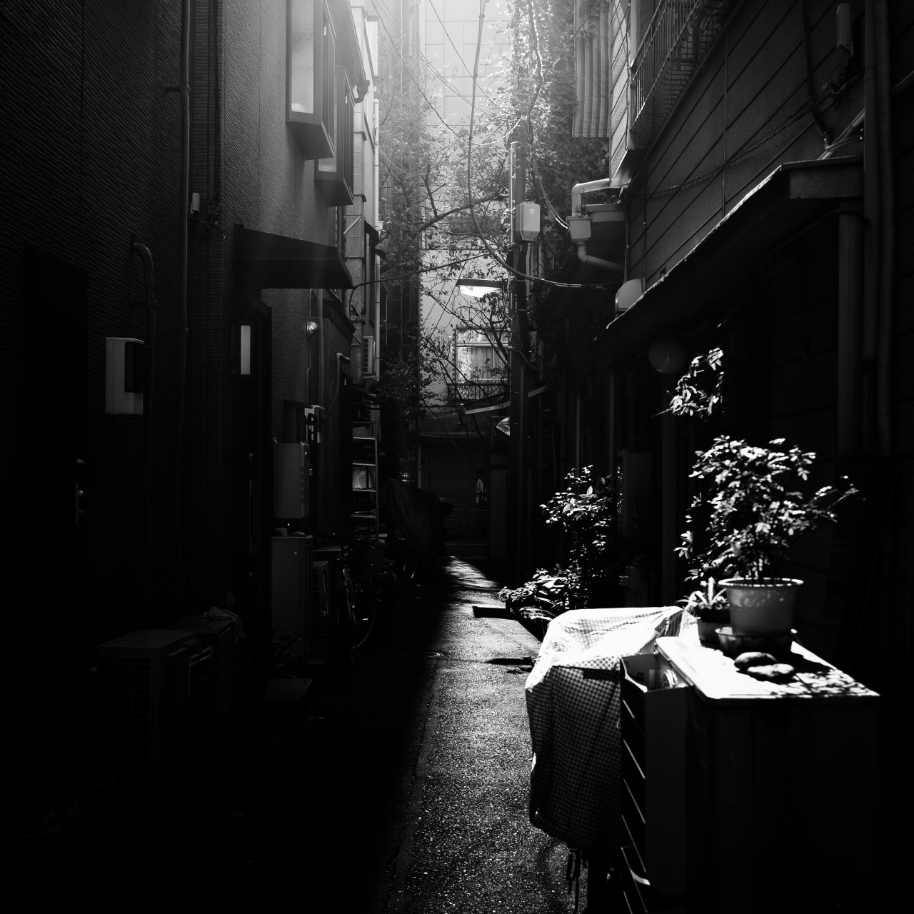 Archillect ID 107050