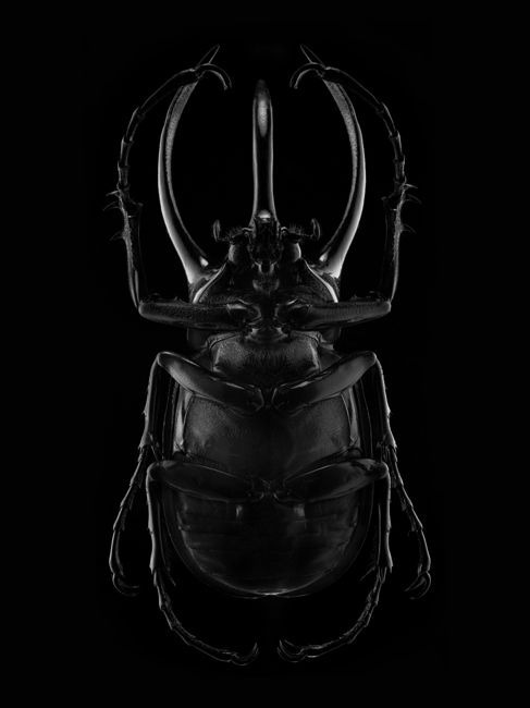 Archillect ID 107119