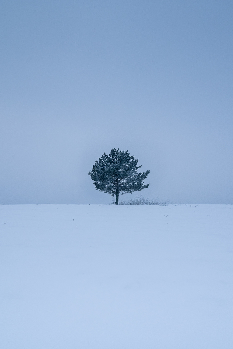 Archillect ID 107707