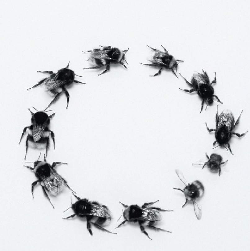 Archillect ID 107741
