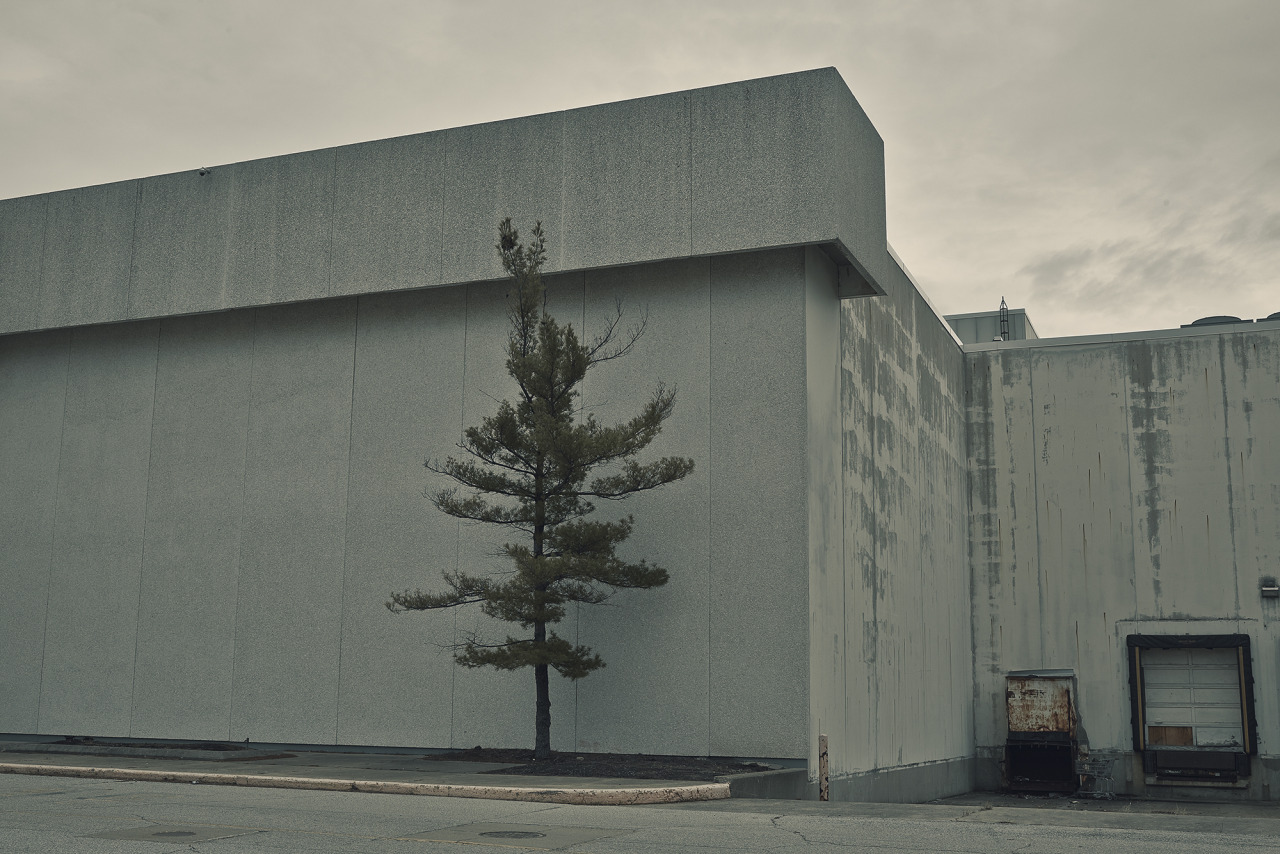 Archillect ID 107932