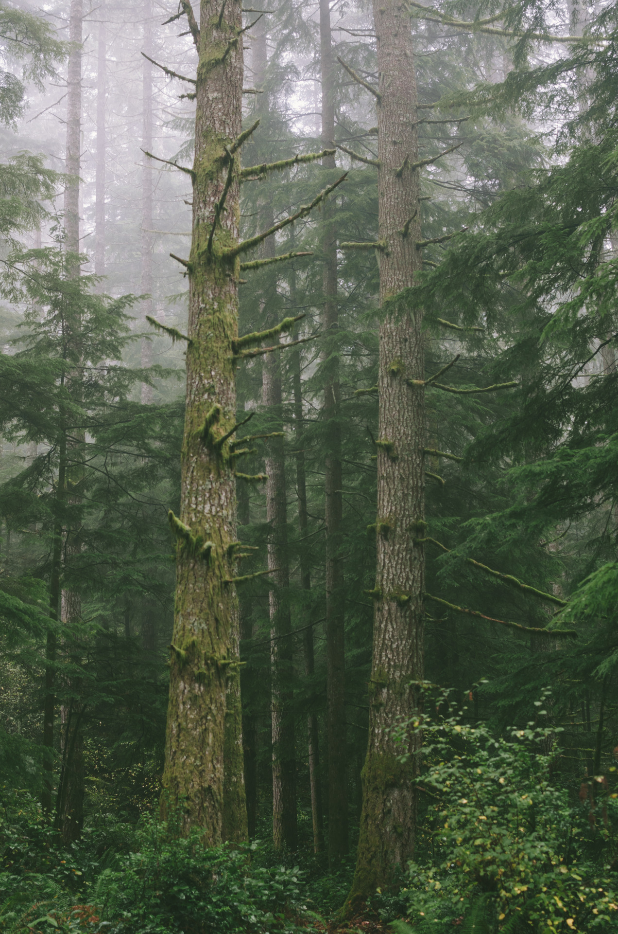 Archillect ID 108017