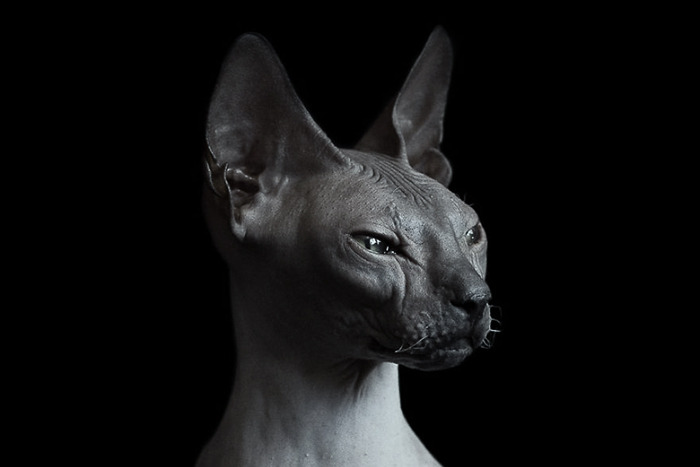 Archillect ID 108060