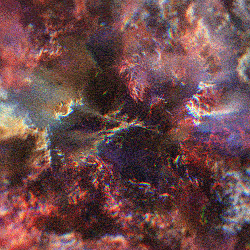 Archillect ID 108117