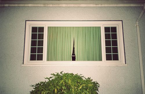 Archillect ID 108169