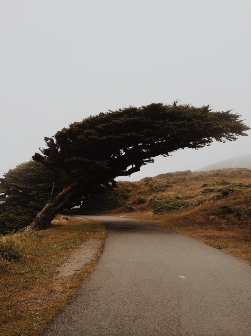 Archillect ID 108260