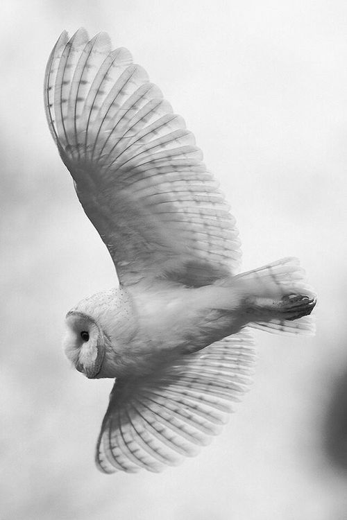 Archillect ID 108362