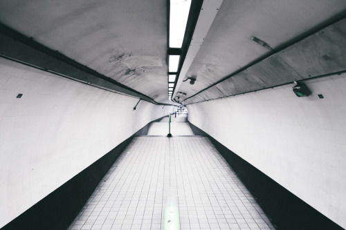 Archillect ID 108550