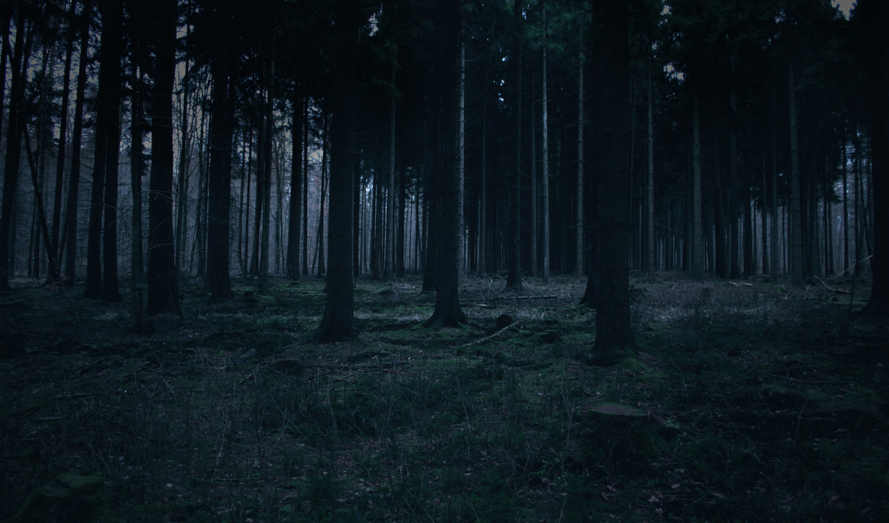 Archillect ID 108580