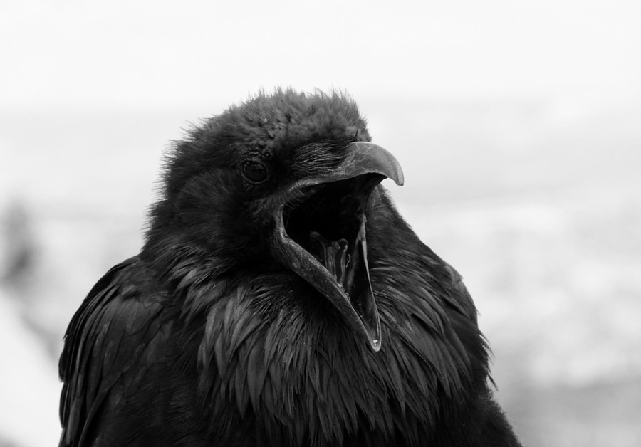 Archillect ID 108590