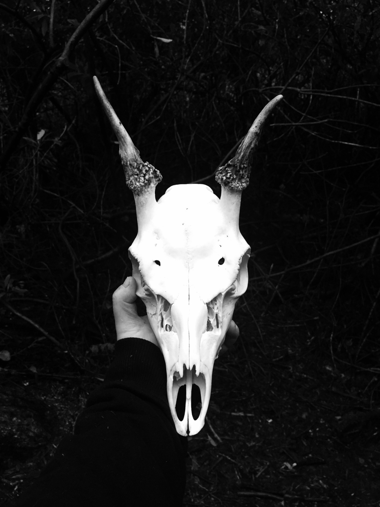 Archillect ID 108680