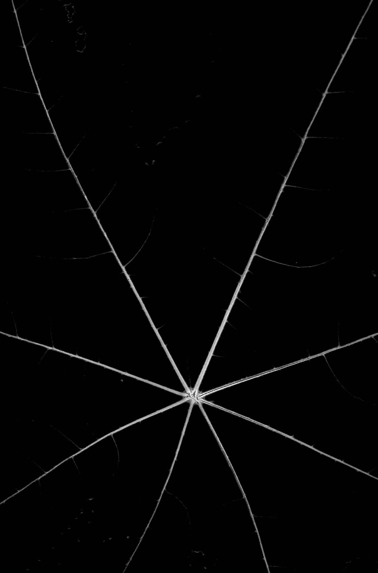 Archillect ID 108739