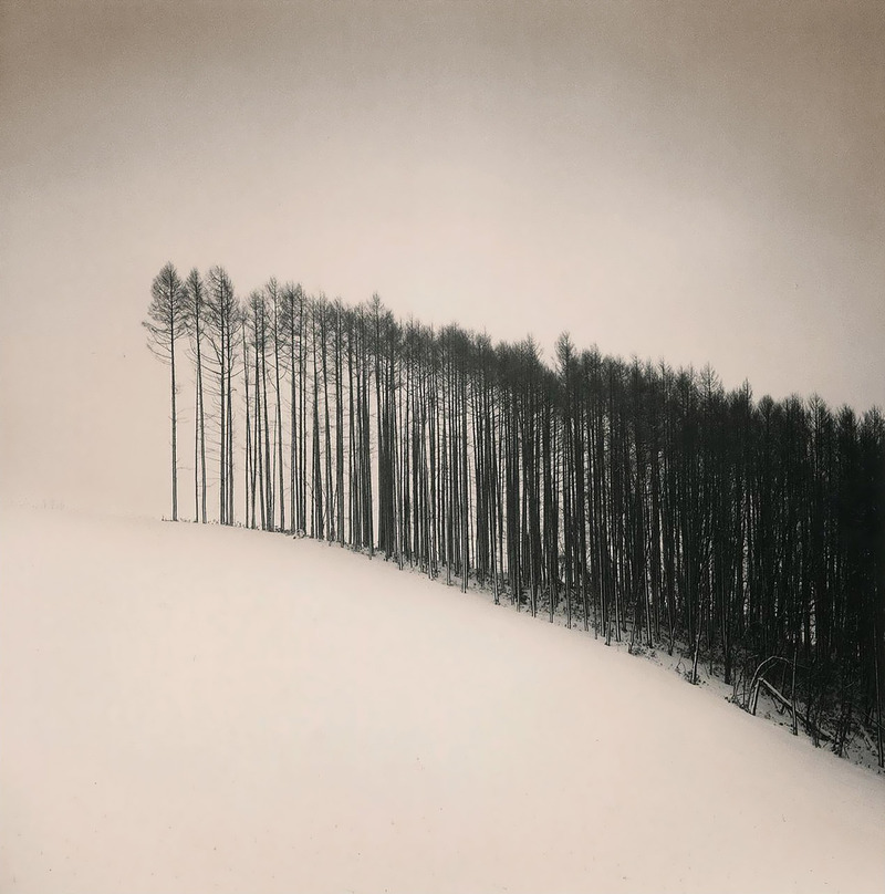 Archillect ID 108831
