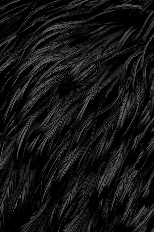 Archillect ID 108835