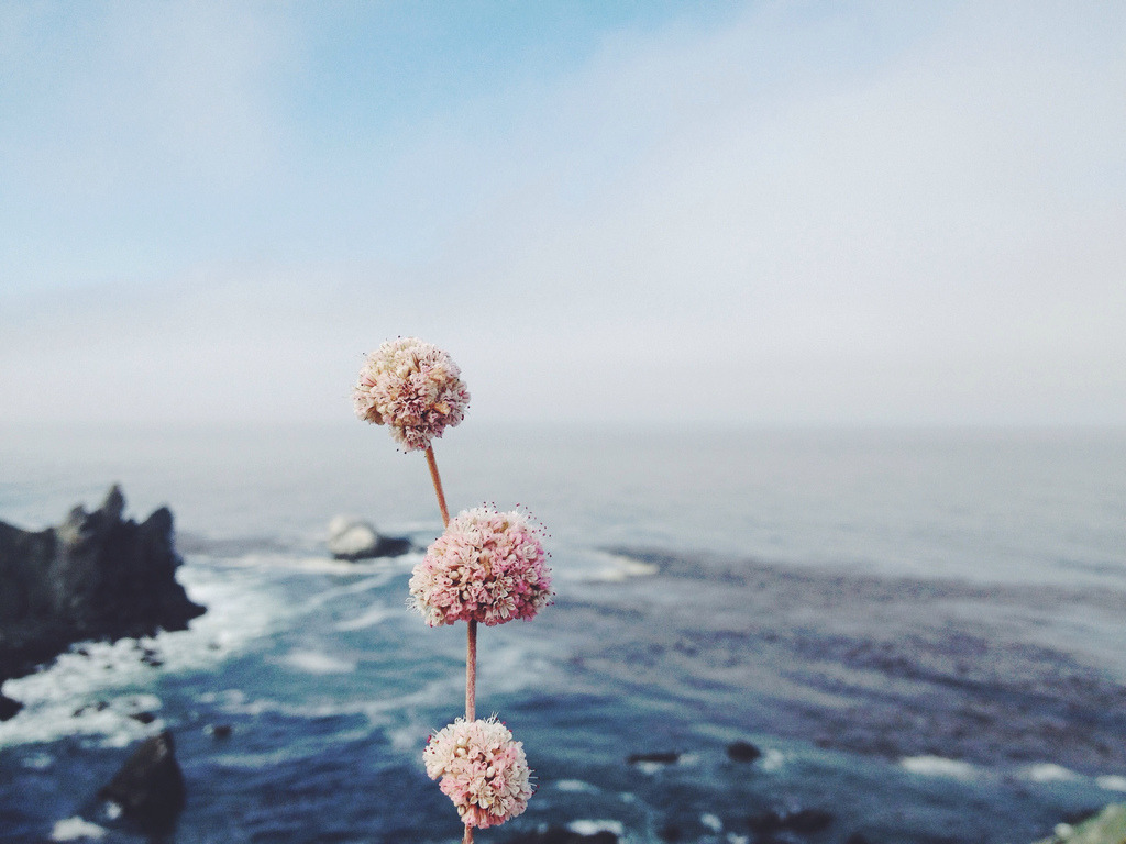 Archillect ID 108974
