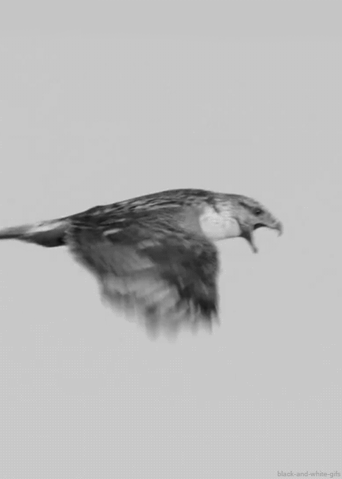 Archillect ID 109149