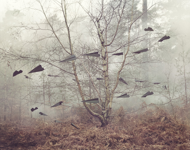 Archillect ID 109208
