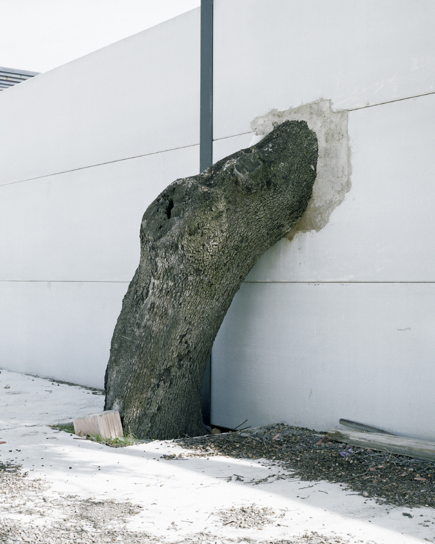 Archillect ID 109552