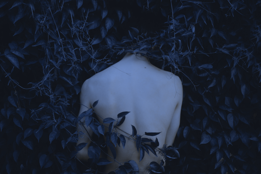 Archillect ID 109579