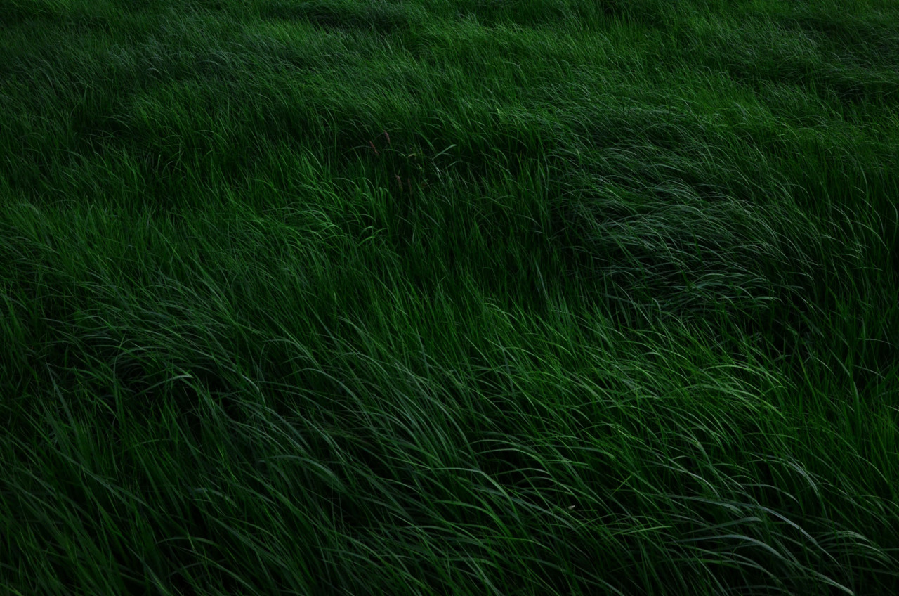 Archillect ID 109601
