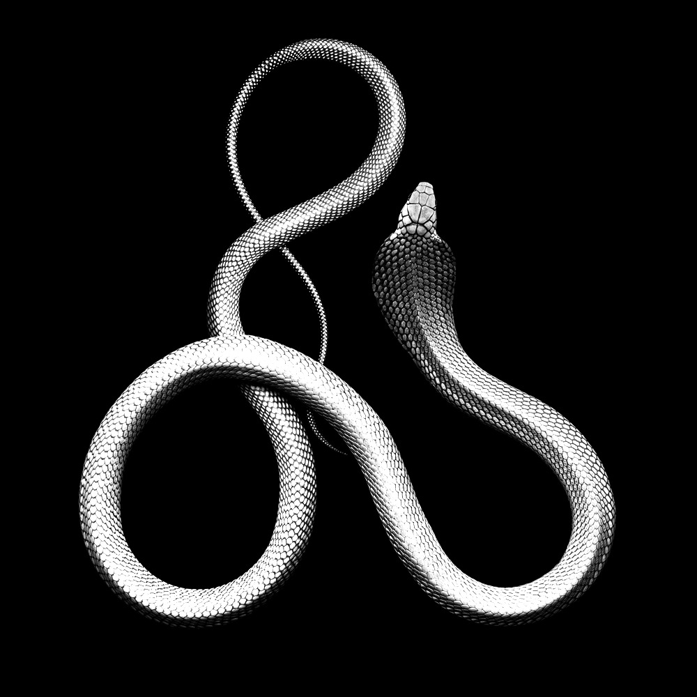 Archillect ID 109624