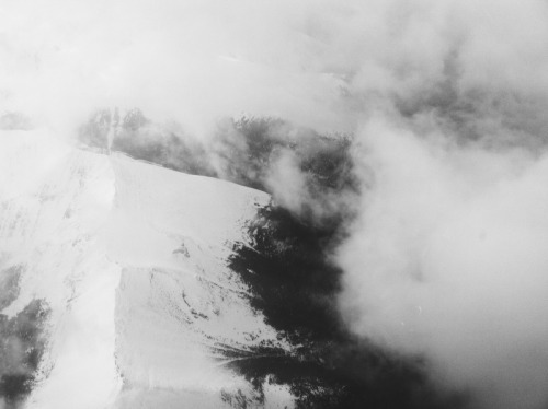 Archillect ID 109736