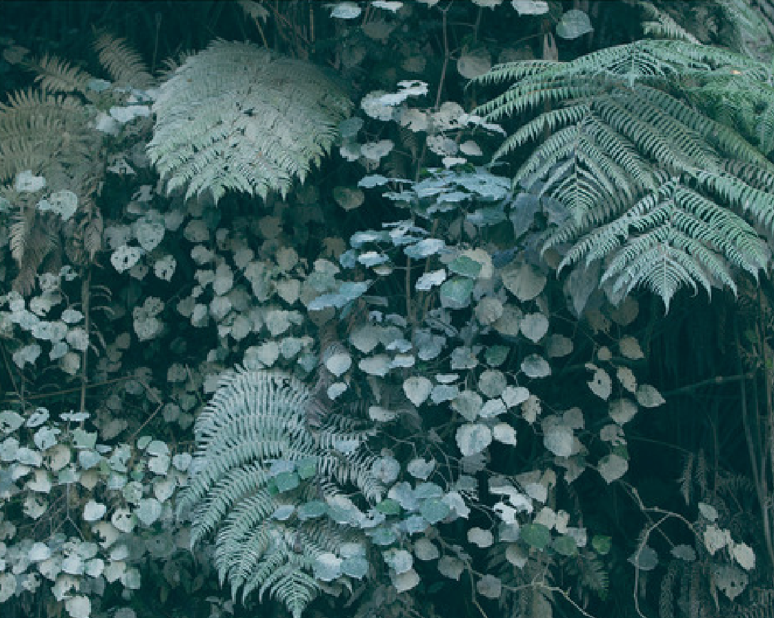 Archillect ID 109830