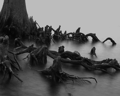 Archillect ID 109931
