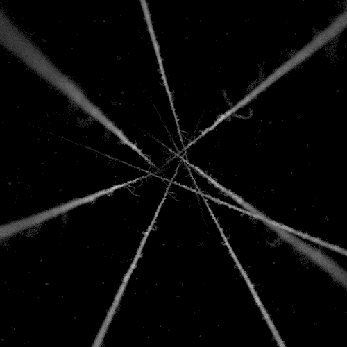 Archillect ID 109943