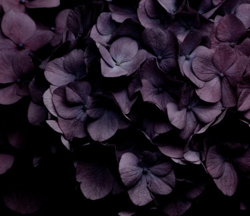 Archillect ID 109975