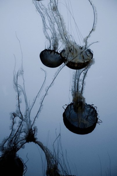 Archillect ID 110187