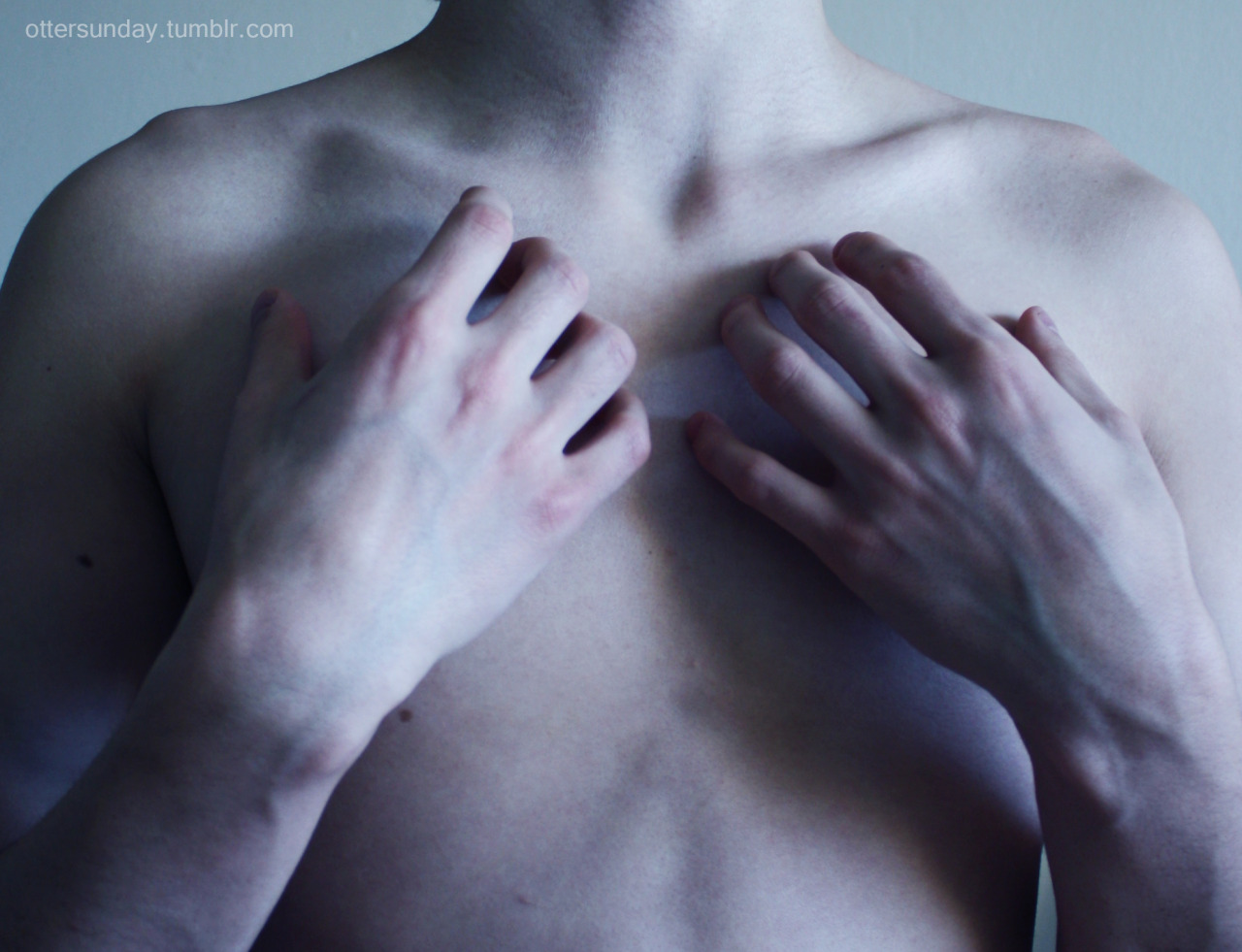 Archillect ID 110271