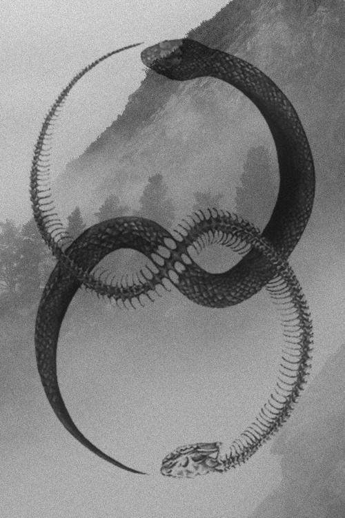 Archillect ID 110332
