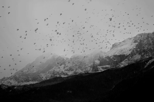 Archillect ID 110498