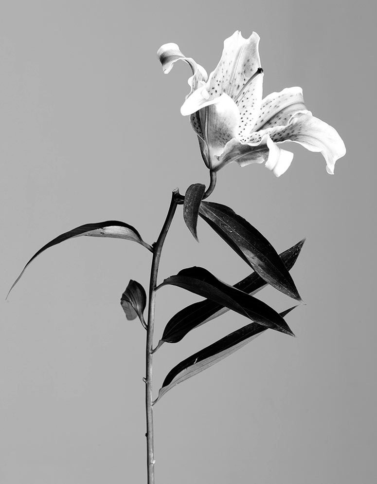 Archillect ID 110633