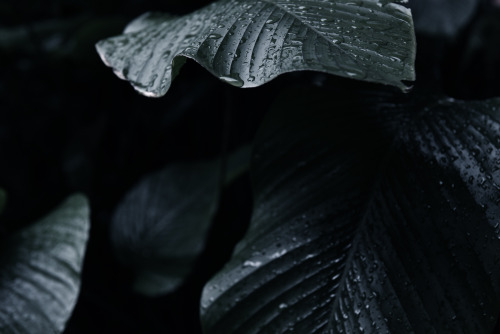 Archillect ID 110649