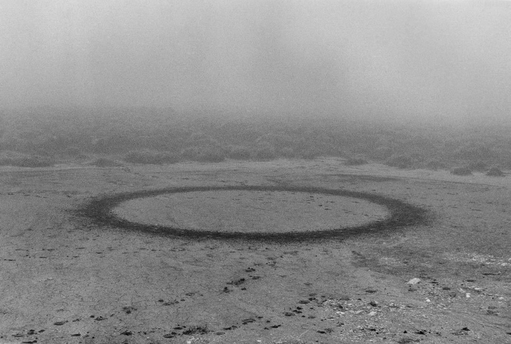 Archillect ID 110655