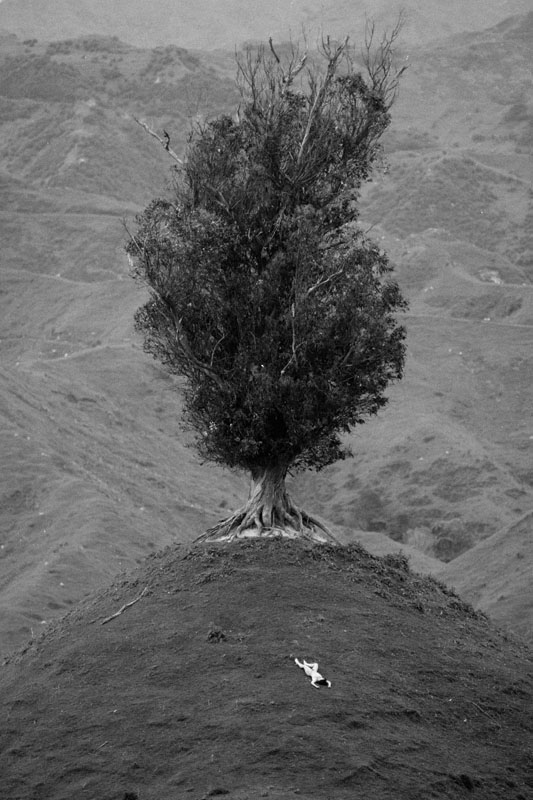 Archillect ID 110792