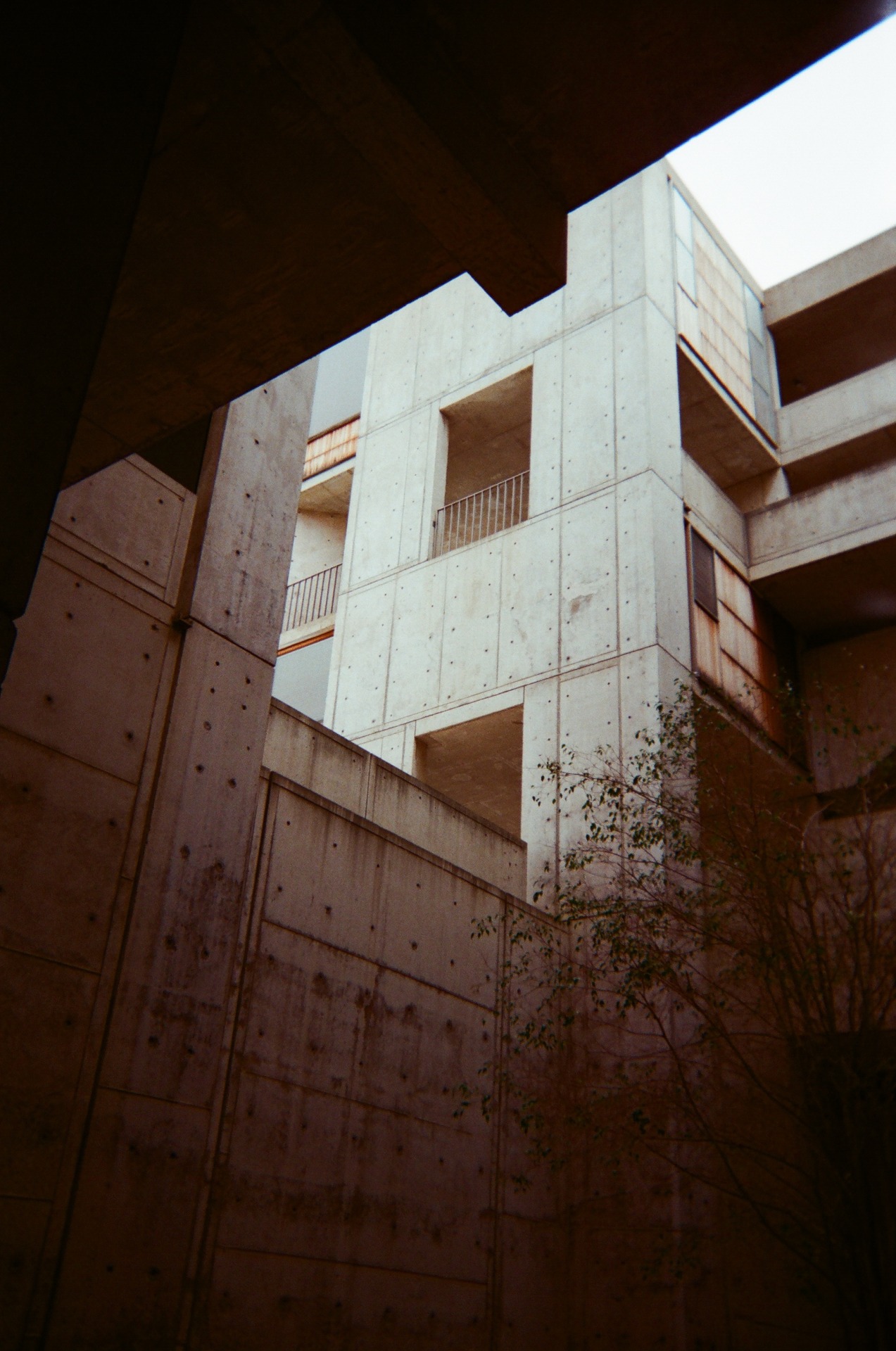 Archillect ID 110875