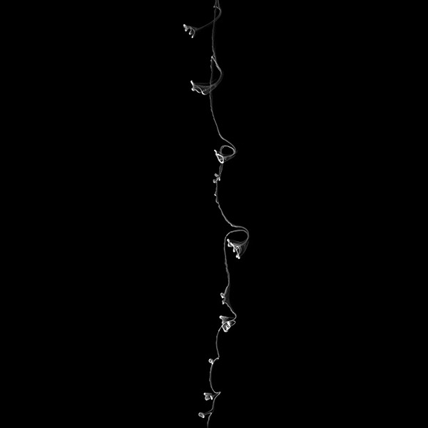 Archillect ID 111032