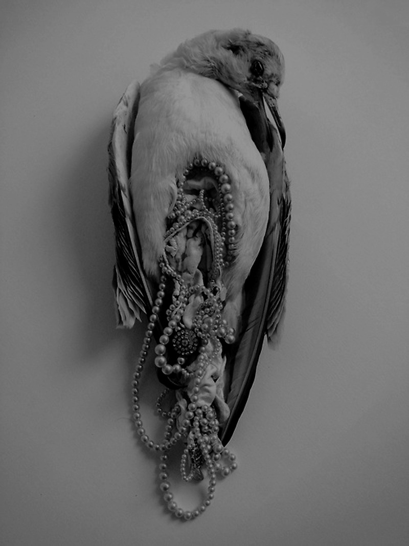 Archillect ID 111283