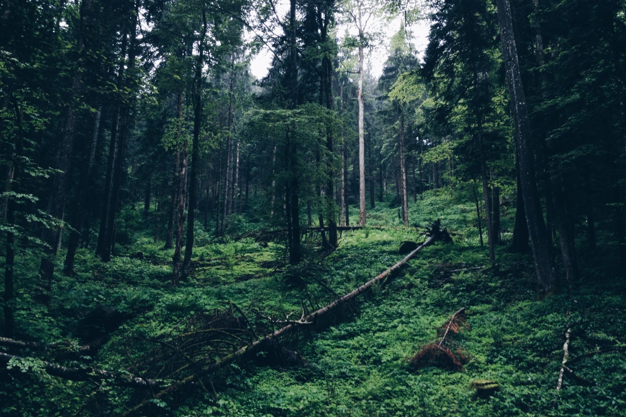 Archillect ID 111309