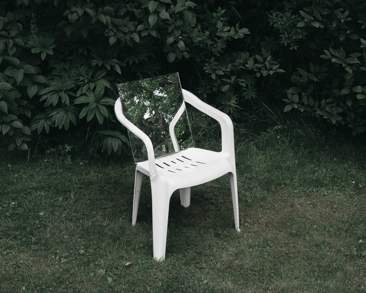 Archillect ID 111338