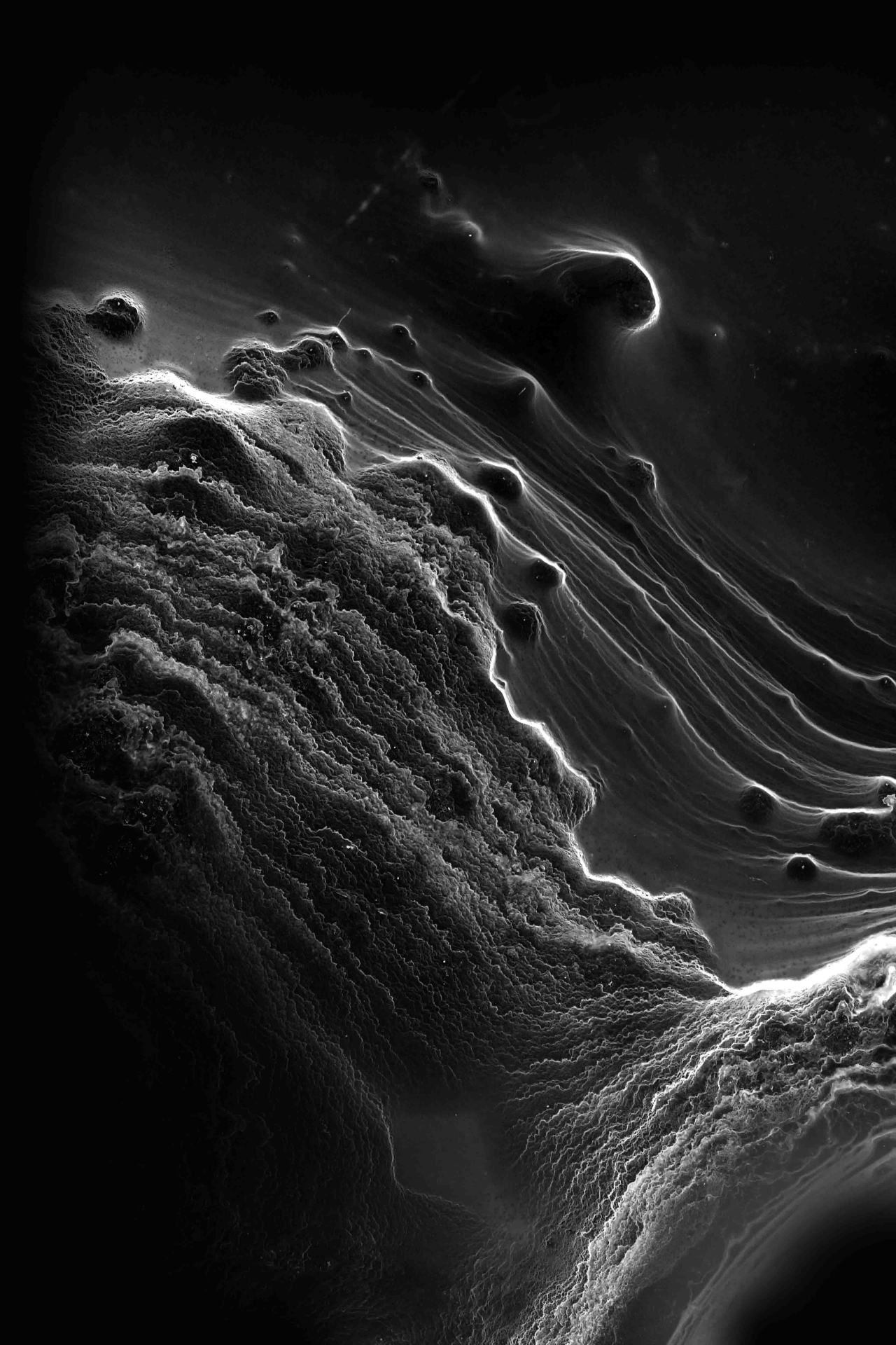 Archillect ID 111377