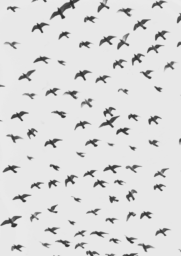 Archillect ID 111439